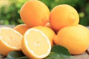 Blog_lemons