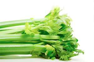 Celery Seed Image